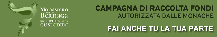 banner bbernagadesktop-50910.jpg