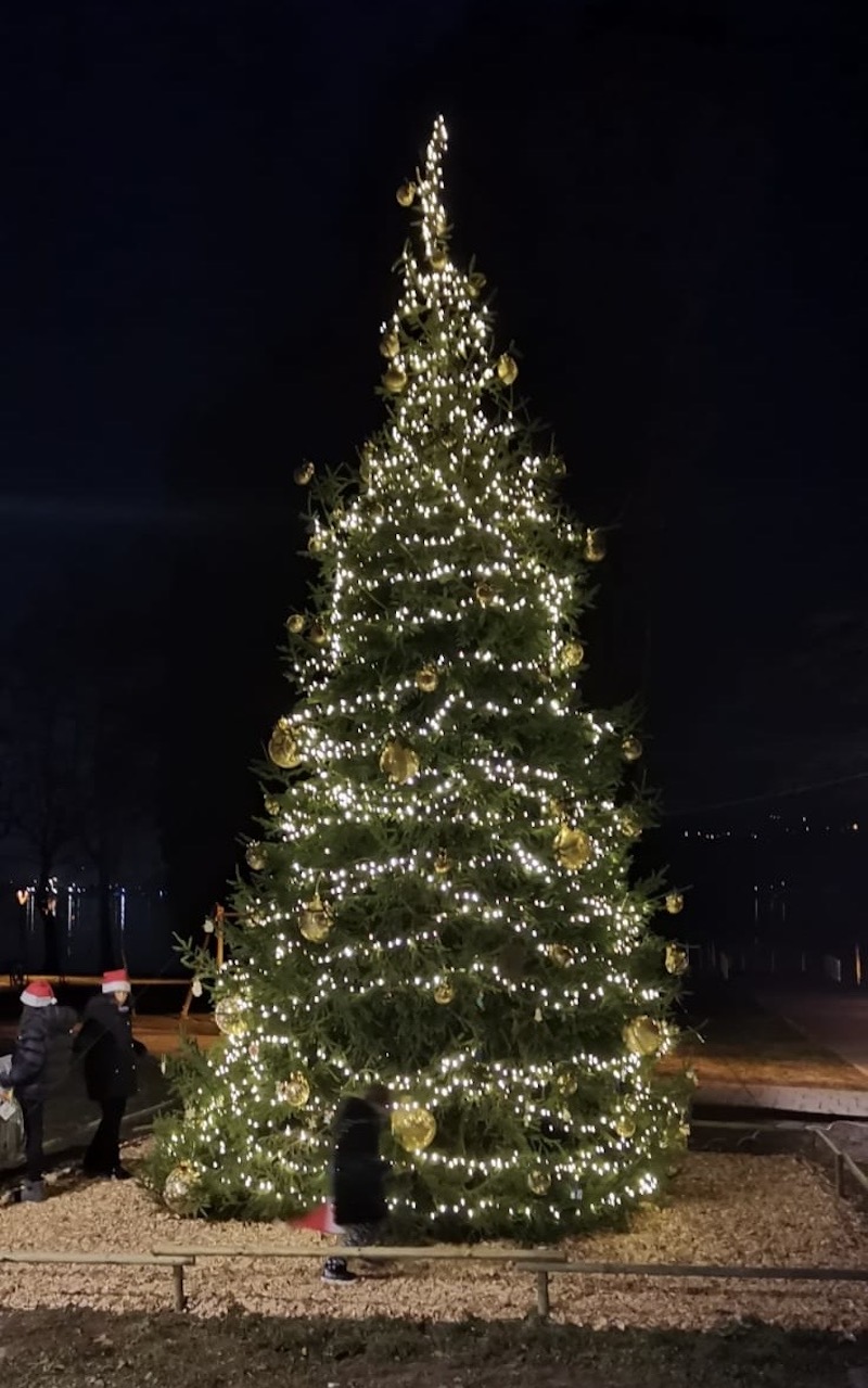 Bosisio_albero00003.jpg (200 KB)