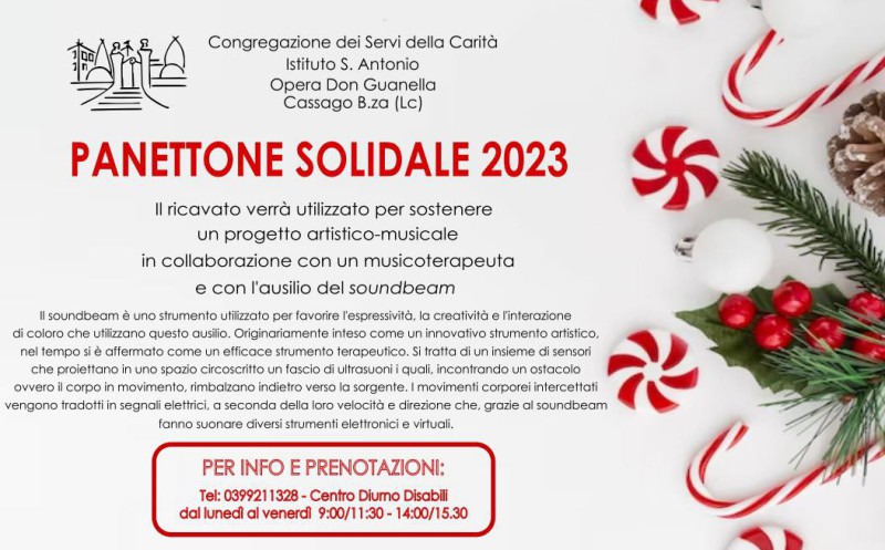 panettonesolidale.jpg (102 KB)