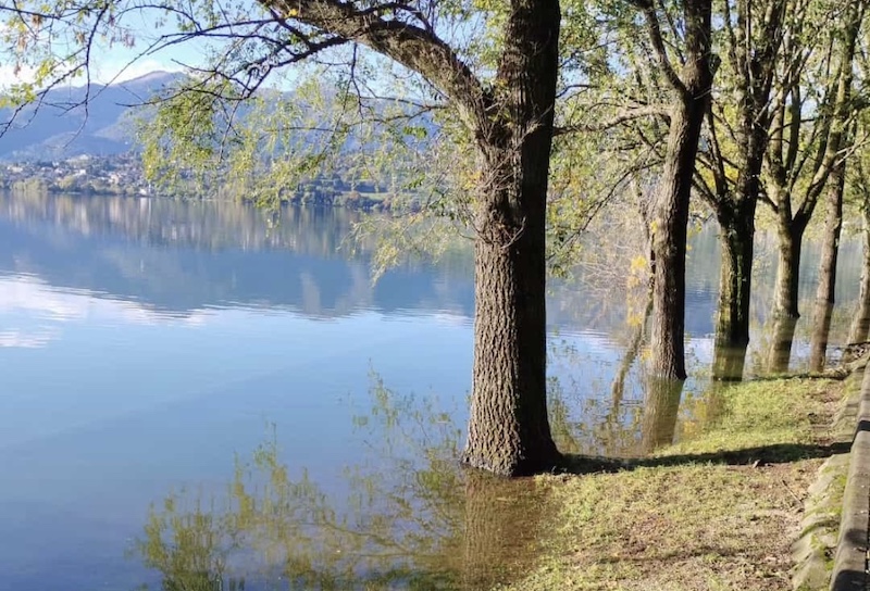 Bosisio_pontile00005.jpg (223 KB)