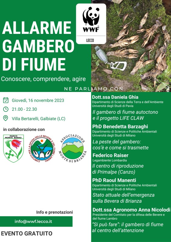 Locandina_16.11.23.jpg (131 KB)