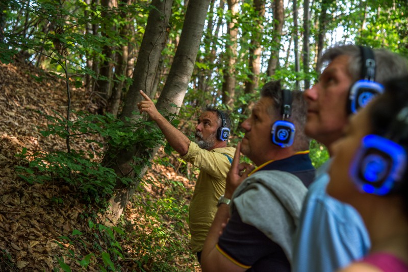 Ph._Alvise_Crovato_Alberi_maestri.jpg (136 KB)