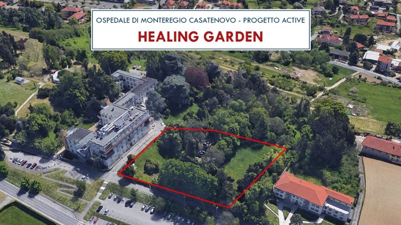 architettomagni_01.jpg (386 KB)