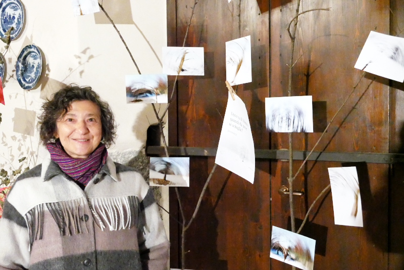 cassago_mostra_arte_sant_agostino_5.jpg (252 KB)
