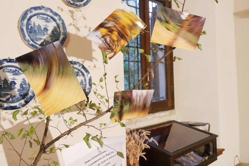 cassago_mostra_arte_sant_agostino_6.jpg (241 KB)