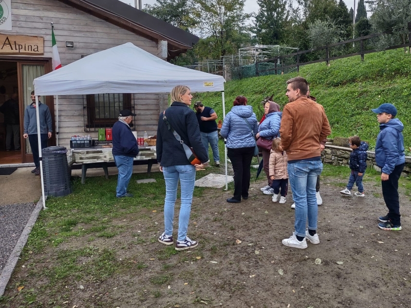 castagnataalpiniello_01.jpg (489 KB)