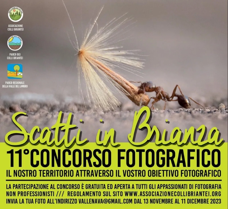 volantino-2023concorsofoto.jpg (401 KB)