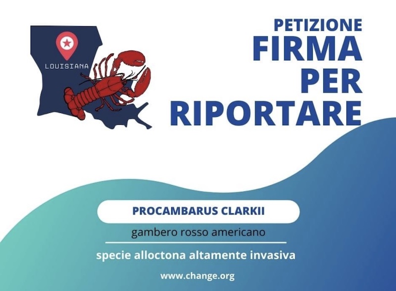Pusiano_social00003.jpg (94 KB)