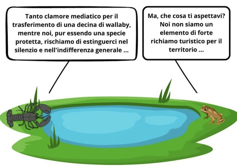 Pusiano_social00006.jpg (111 KB)