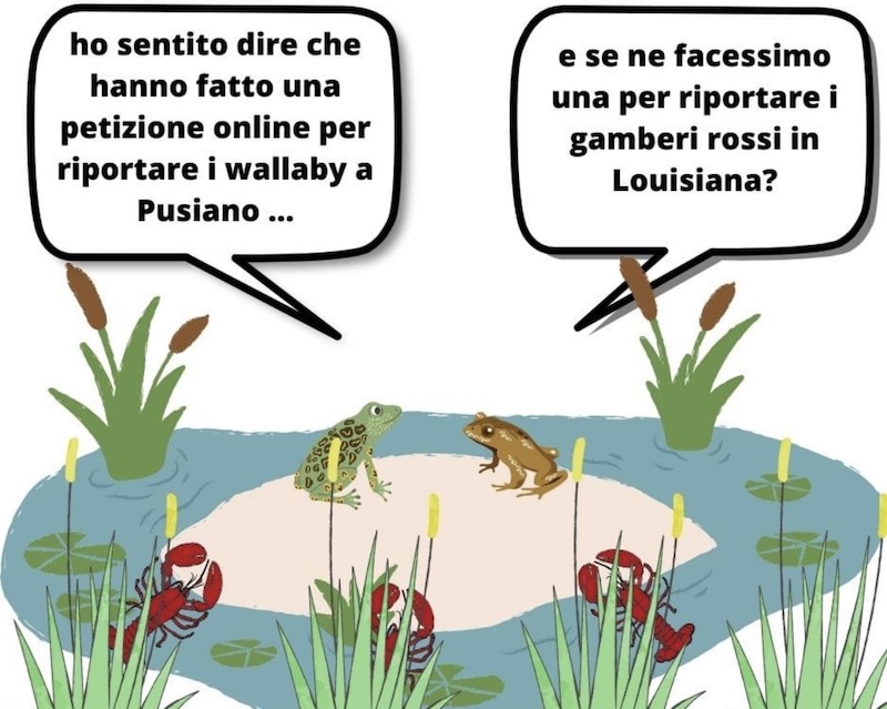 Pusiano_social00007.jpg (158 KB)