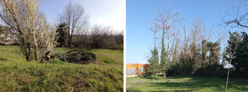 parcovivo_2.jpg (95 KB)