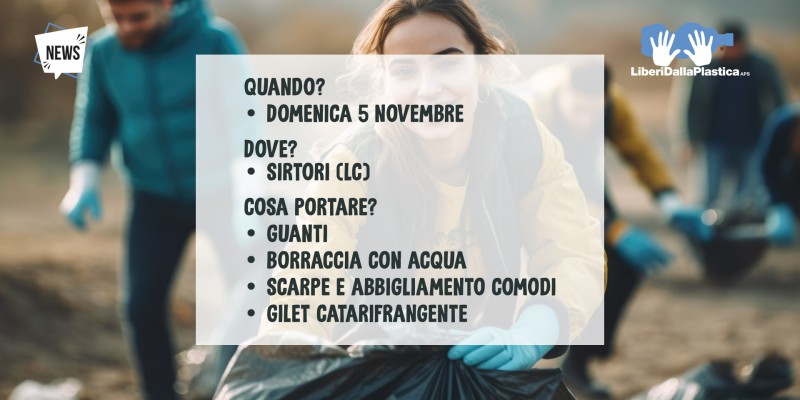 sirtoriplastica.jpg (61 KB)