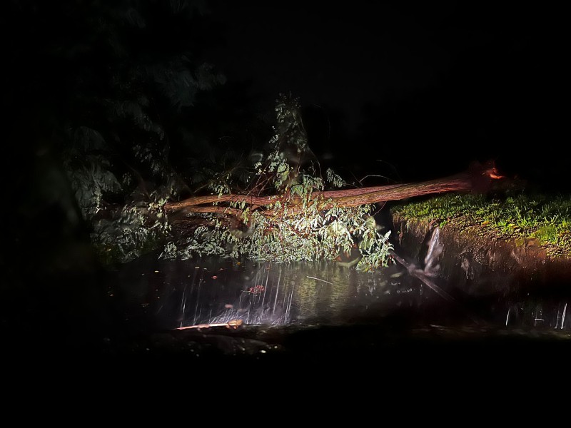 temporale1.jpg (72 KB)