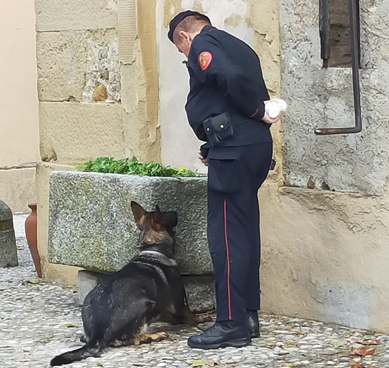 vg_giallo5.jpg (226 KB)
