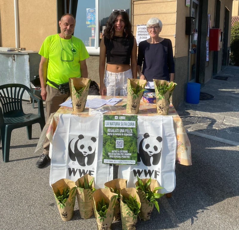 wwffogliaverde_02.jpg (555 KB)