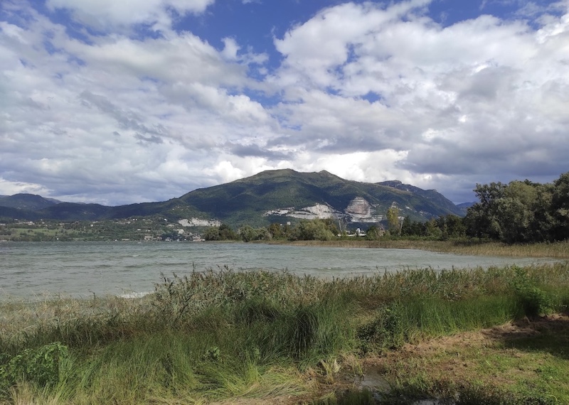 Lago_pusiano_gambero00003.jpg (190 KB)