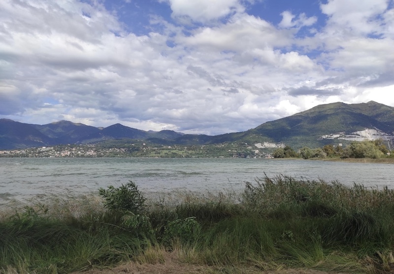 Lago_pusiano_gambero00004.jpg (174 KB)