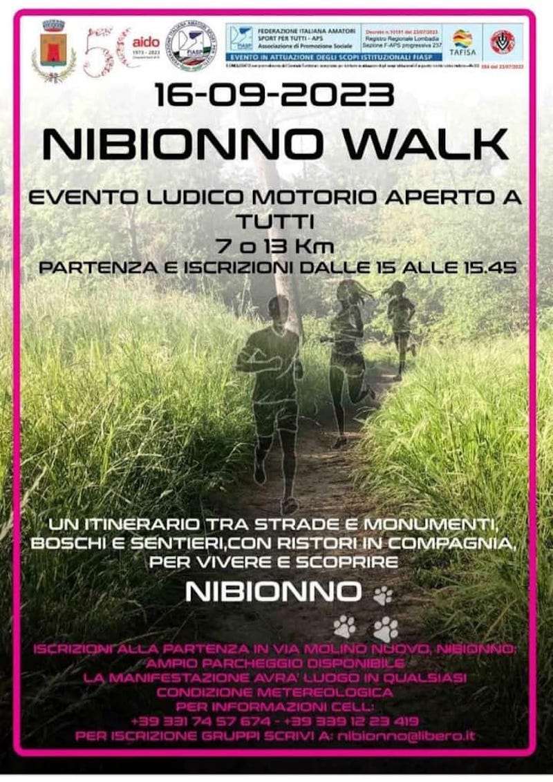 Nibionno_loc_walk.jpeg (174 KB)