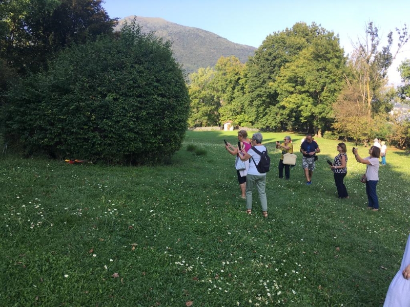 OGGIONO_ANZIANI_ISOLA_CIPRESSI_2.jpg (457 KB)