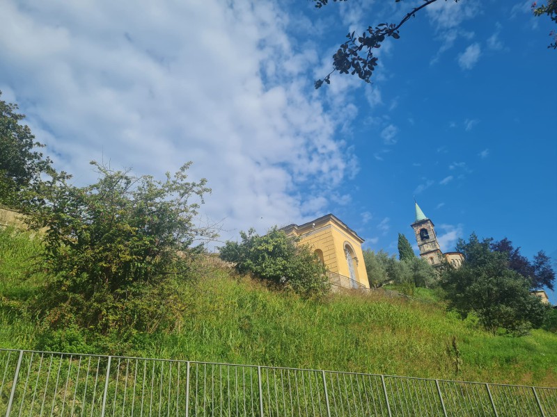 monticellolimonera2.jpg (141 KB)