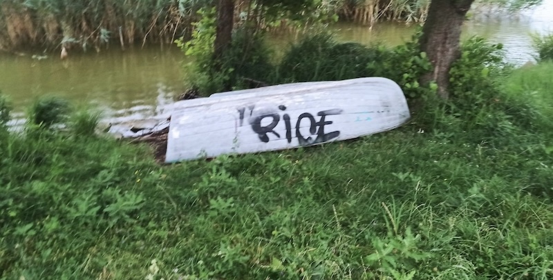 Annone_vandalismi00001.jpg (154 KB)