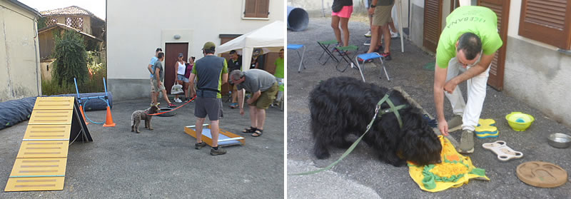 contrafesta4.jpg (58 KB)