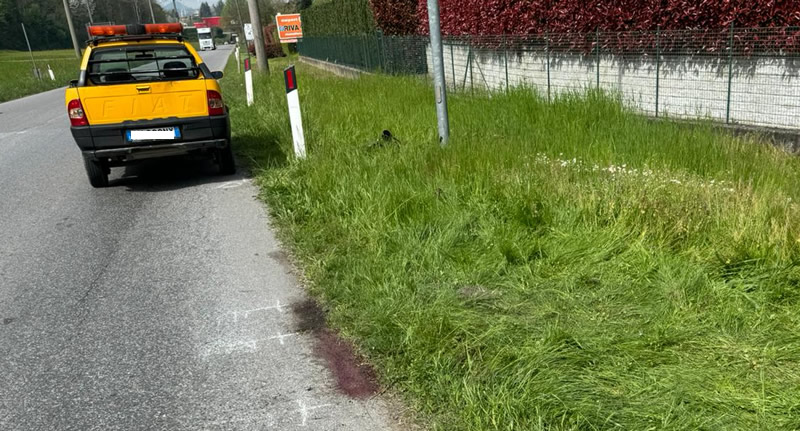 bici2.jpg (148 KB)