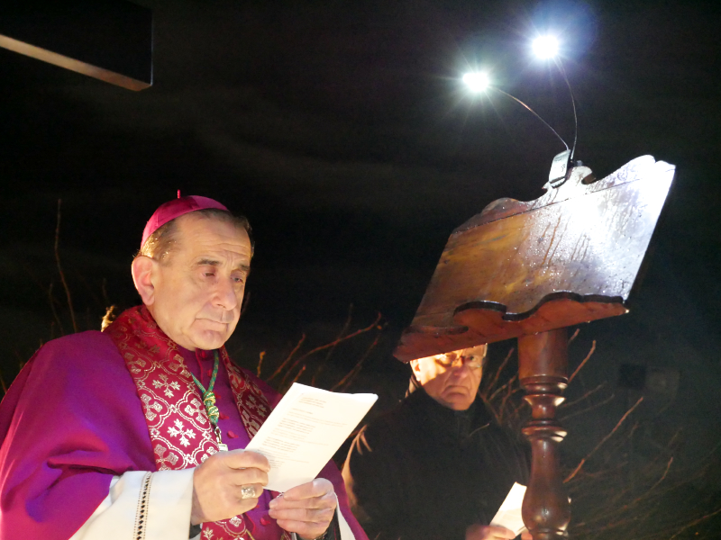 oggiono_delpini_via_crucis_13.jpg (452 KB)