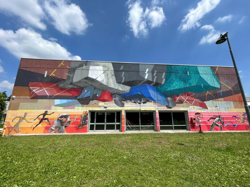 Greppi__murales_palestra_3.JPG (148 KB)