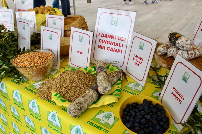 Protesta_Coldiretti_danni_nei_campi.jpeg (147 KB)