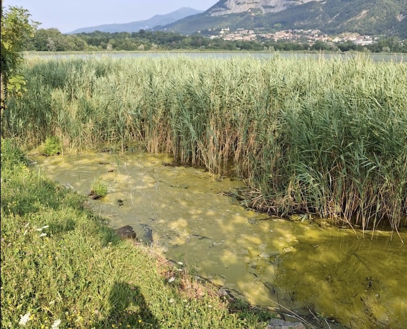 Annone_lago00004.jpg (319 KB)