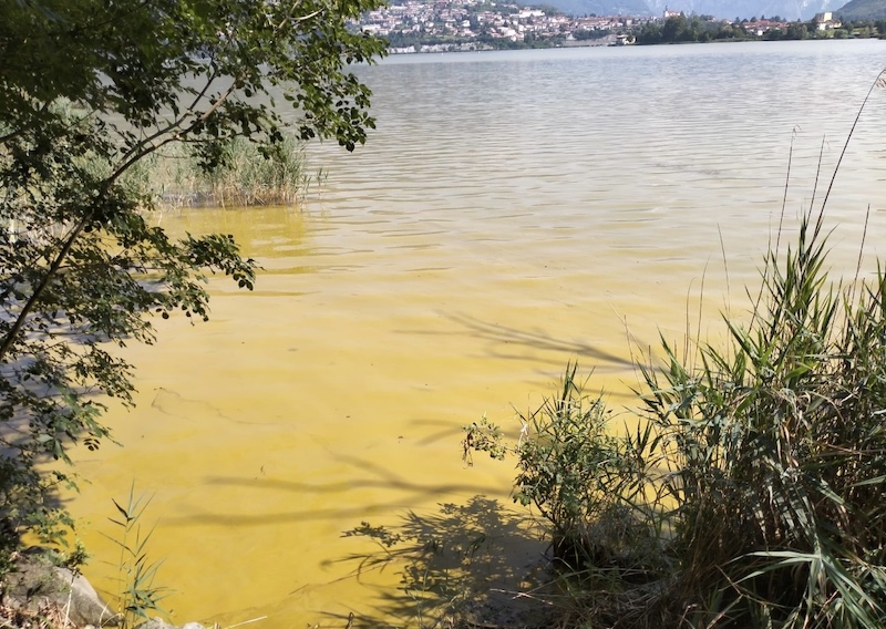 Annone_lago00005.jpg (231 KB)