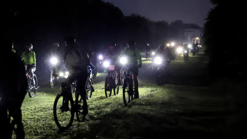 pedalalupi2.jpg (271 KB)
