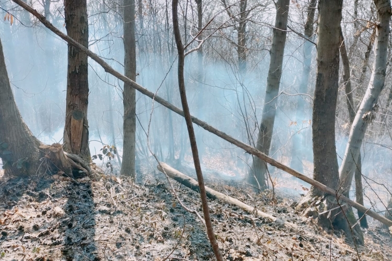 incendio_1.jpg (416 KB)