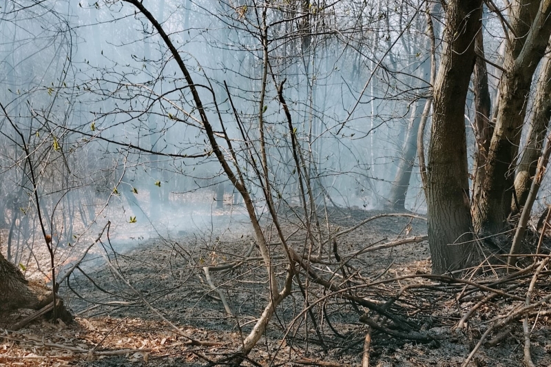 incendio_5.jpg (479 KB)