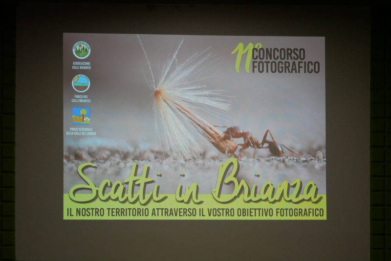 concorso_colli_briantei_2.jpg (337 KB)
