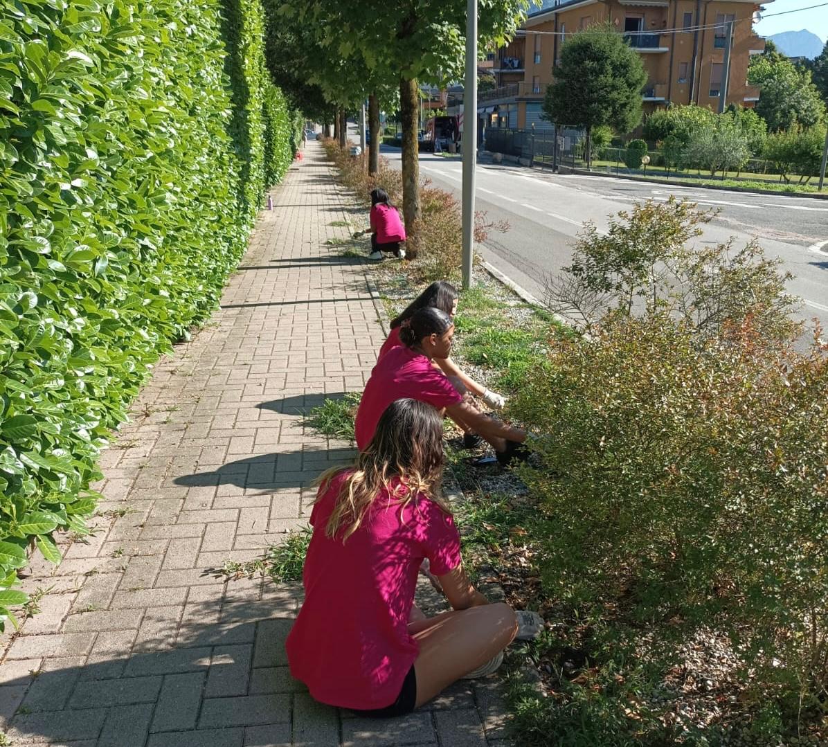 LivingLandProgetto__2_.jpeg (321 KB)
