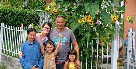 Girasoli giganti