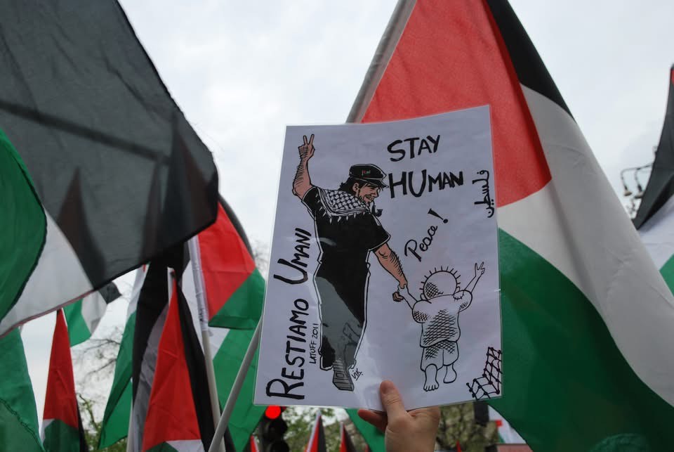 vik_gaza3.jpg (65 KB)