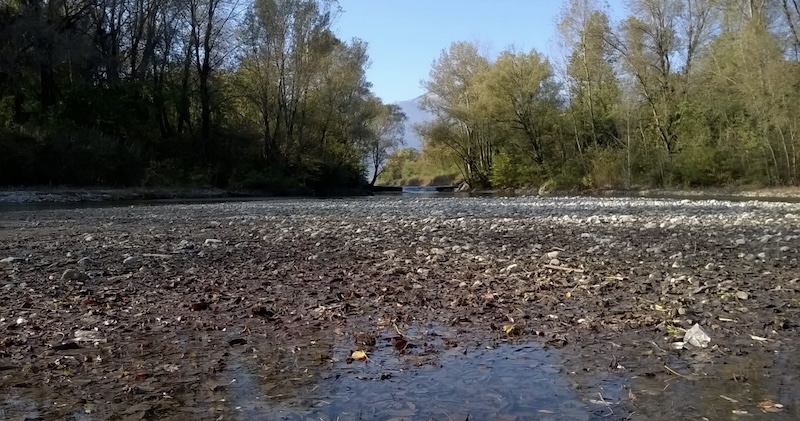 Detriti_lago_pusiano00003.jpg (194 KB)