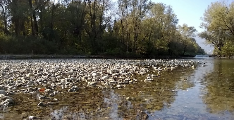 Detriti_lago_pusiano00004.jpg (189 KB)