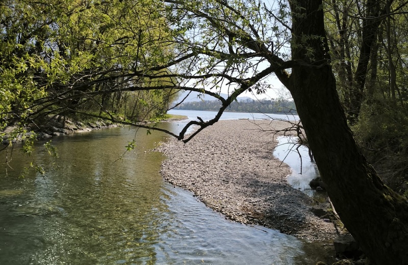 Lago_pusiano00004.JPG (258 KB)