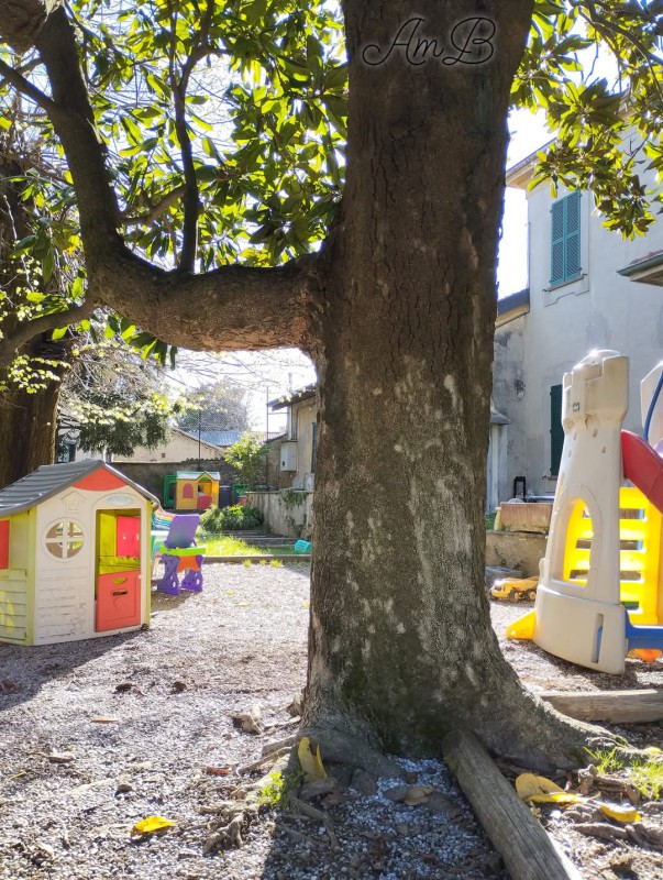 casatealberi__1_.jpeg (193 KB)