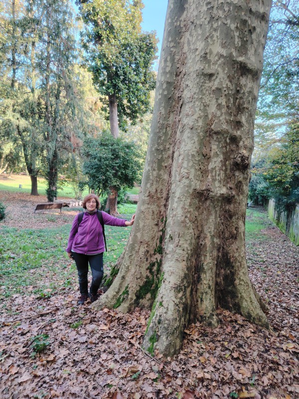 casatealberi__2_.jpeg (229 KB)