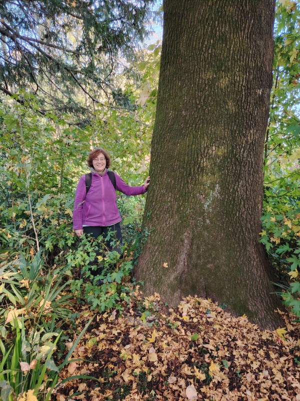 casatealberi__3_.jpeg (231 KB)