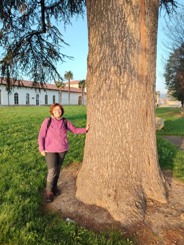 casatealberi__4_.jpeg (219 KB)