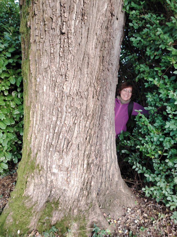 casatealberi__5_.jpeg (203 KB)