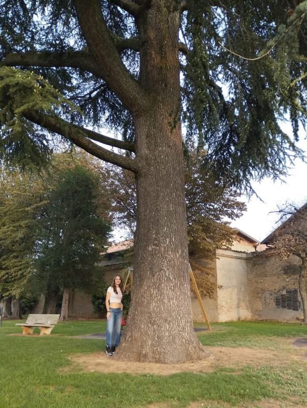 casatealberi__6_.jpeg (191 KB)
