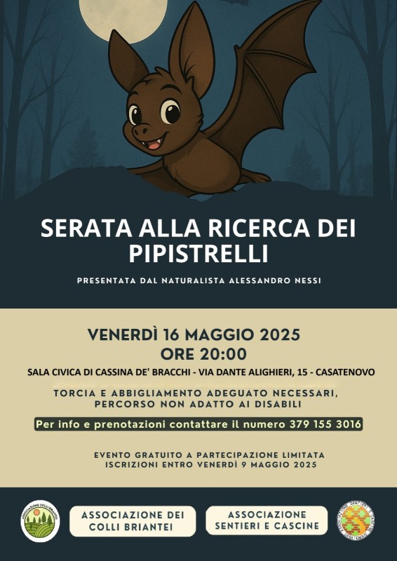pipistrelli.jpg (83 KB)