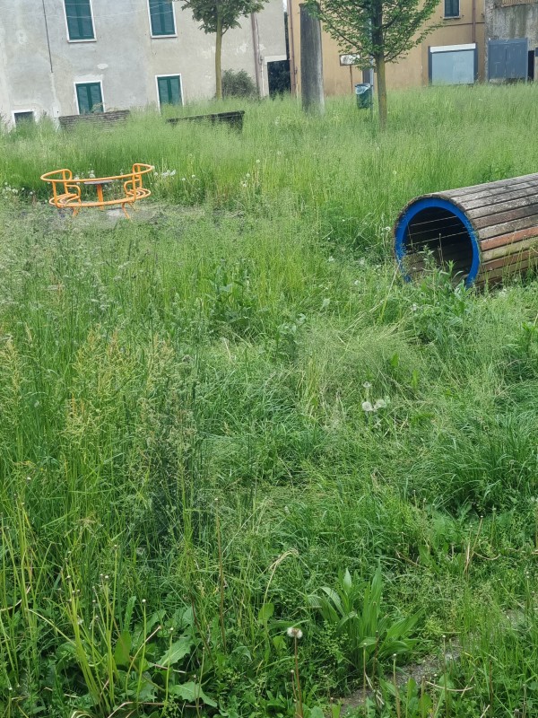 rimoldoparco__1_.jpg (208 KB)